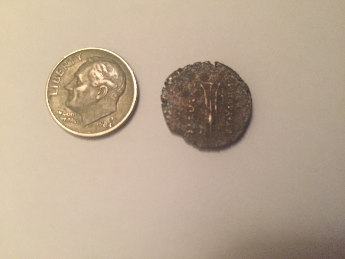 Can-Someone-ID-This-Little-Guy-For-Me?-I
